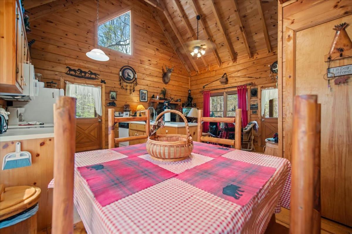 فيلا إليجايفي Cozy Cabin Beside Briar Creek, Fire Pit, Wifi المظهر الخارجي الصورة